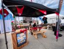 beachrugby anglet samedi HD