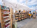 beachrugby anglet samedi HD
